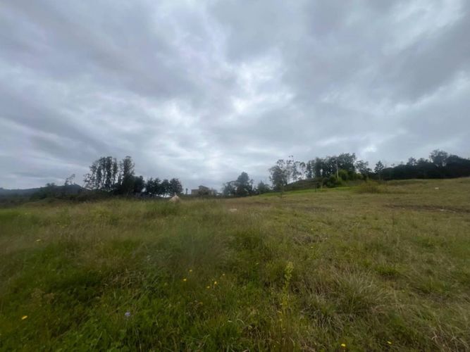 Lote en venta en Pantanillo, El Retiro, 2106 m² · foto 7 de 13
