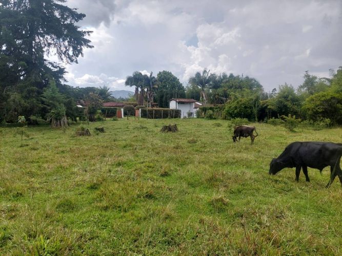Lote en venta en Llano Grande, Rionegro, 7 m² · foto 3 de 24
