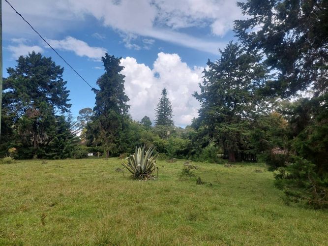 Lote en venta en Llano Grande, Rionegro, 7 m² · foto 5 de 24