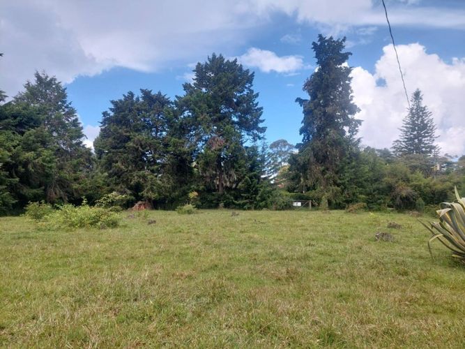 Lote en venta en Llano Grande, Rionegro, 7 m² · foto 7 de 24