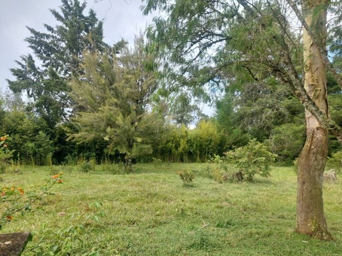 Lote en venta en Llano Grande, Rionegro, 7 m² · foto 9 de 24