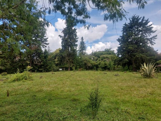 Lote en venta en Llano Grande, Rionegro, 7 m² · foto 10 de 24