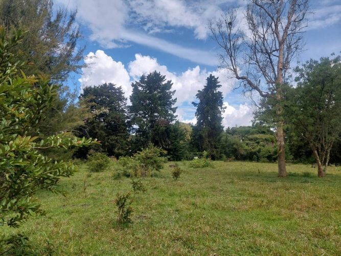 Lote en venta en Llano Grande, Rionegro, 7 m² · foto 12 de 24