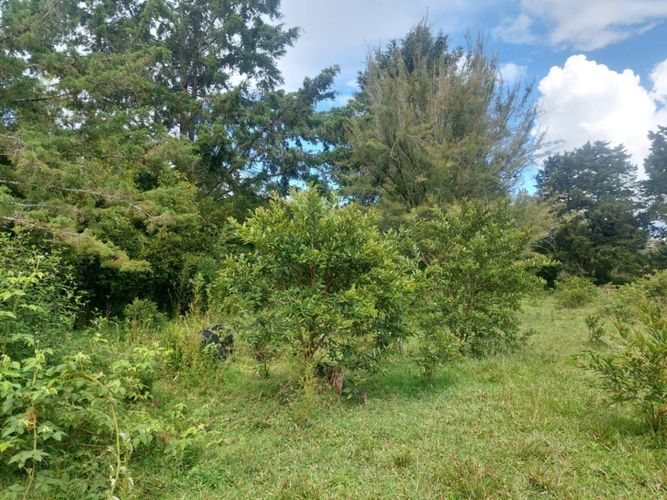 Lote en venta en Llano Grande, Rionegro, 7 m² · foto 14 de 24