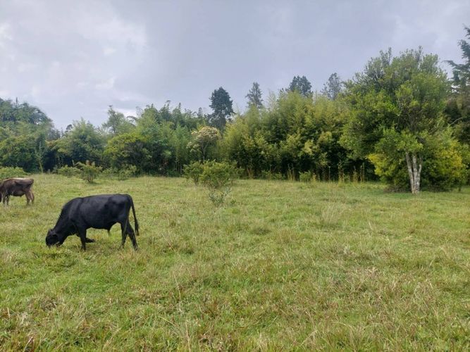 Lote en venta en Llano Grande, Rionegro, 7 m² · foto 23 de 24