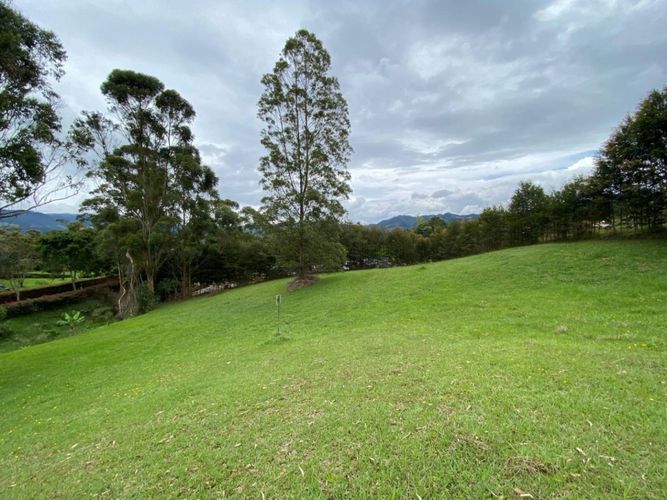 Lote en venta en El Tambo, La Ceja · foto 2 de 14
