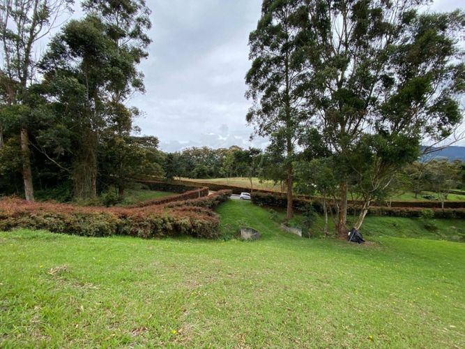Lote en venta en El Tambo, La Ceja · foto 3 de 14