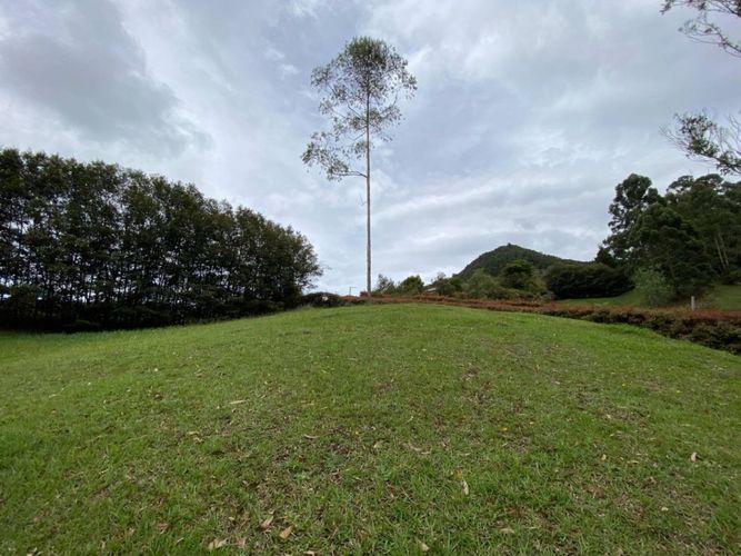 Lote en venta en El Tambo, La Ceja · foto 4 de 14