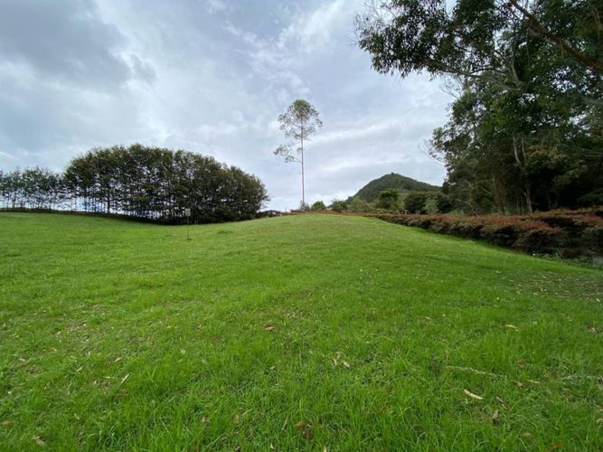 Lote en venta en El Tambo, La Ceja · foto 5 de 14