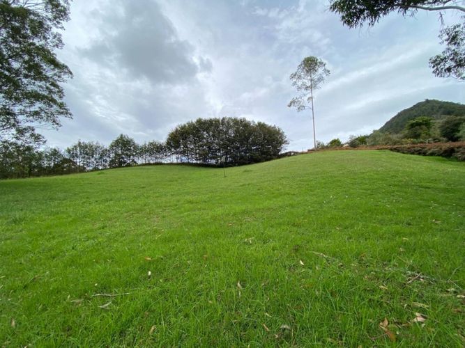 Lote en venta en El Tambo, La Ceja · foto 6 de 14