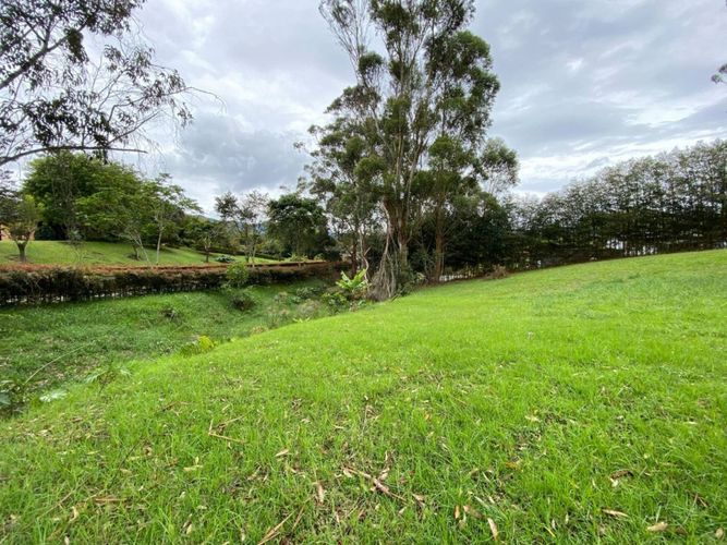 Lote en venta en El Tambo, La Ceja · foto 7 de 14