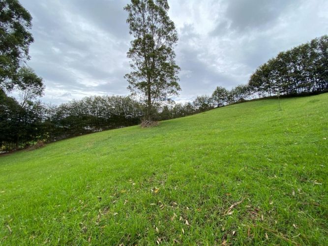 Lote en venta en El Tambo, La Ceja · foto 8 de 14
