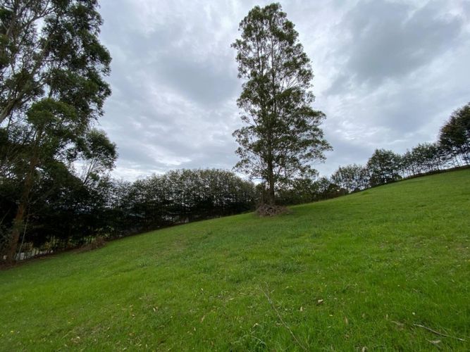 Lote en venta en El Tambo, La Ceja · foto 9 de 14
