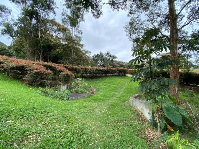 Lote en venta en El Tambo, La Ceja · foto 10 de 14