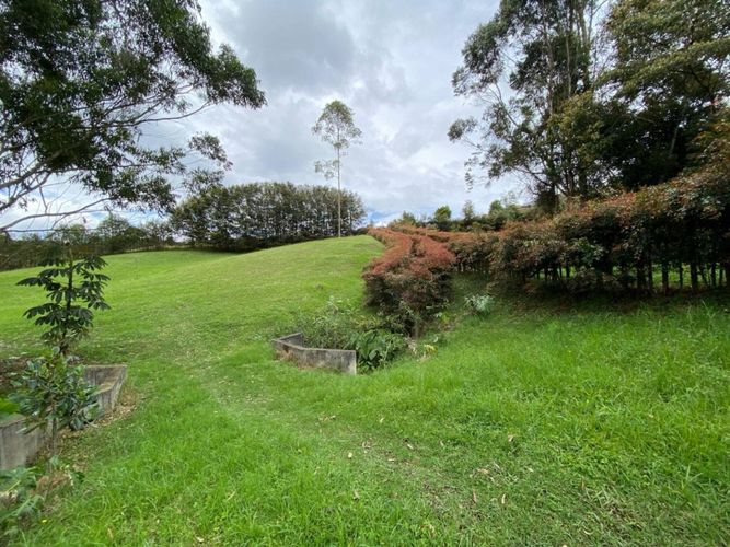 Lote en venta en El Tambo, La Ceja · foto 11 de 14