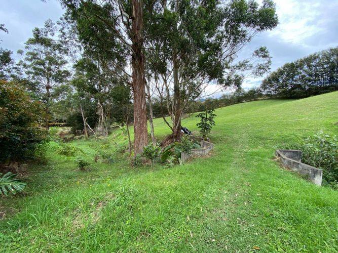 Lote en venta en El Tambo, La Ceja · foto 12 de 14