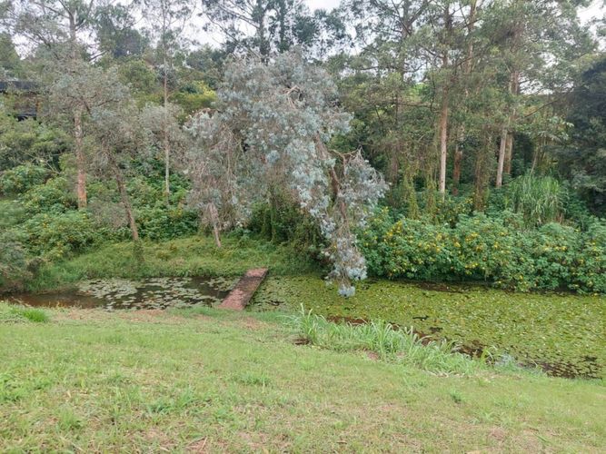 Lote en venta en El Tablazo, Rionegro, 4897 m² · foto 12 de 24