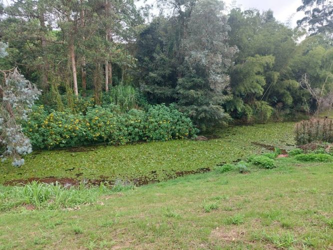 Lote en venta en El Tablazo, Rionegro, 4897 m² · foto 13 de 24