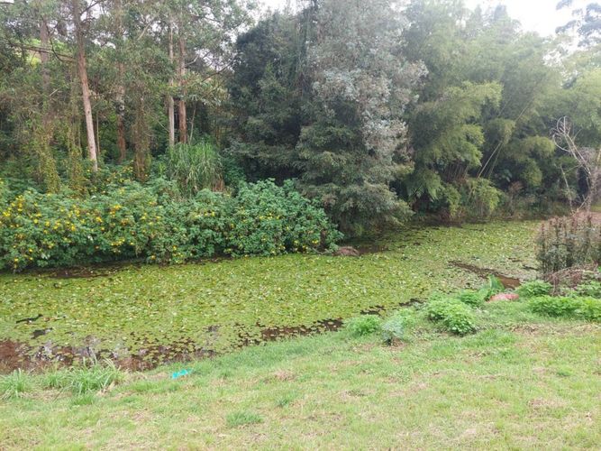 Lote en venta en El Tablazo, Rionegro, 4897 m² · foto 14 de 24