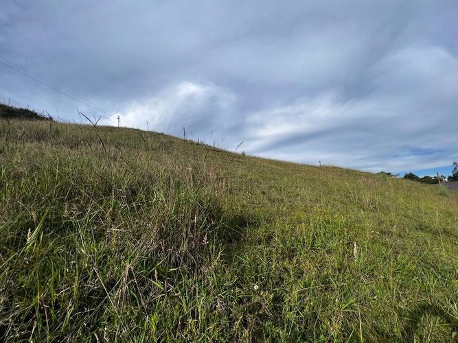 Lote en venta en Pantanillo, Envigado, 2095 m² · foto 4 de 10