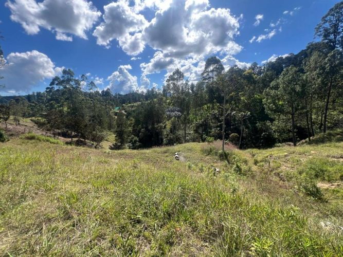 Lote en venta en Don Diego, El Retiro · foto 4 de 17