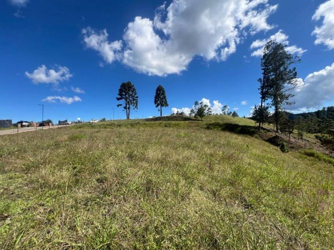 Lote en venta en Don Diego, El Retiro · foto 5 de 17
