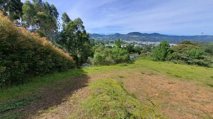 Lote en venta en El Tambo, La Ceja, 4370 m² · foto 6 de 17