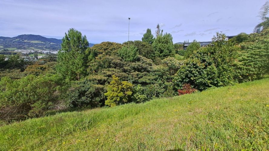 Lote en venta en El Tambo, La Ceja, 4370 m² · foto 10 de 17