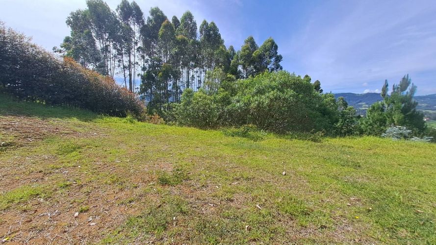 Lote en venta en El Tambo, La Ceja, 4370 m² · foto 13 de 17
