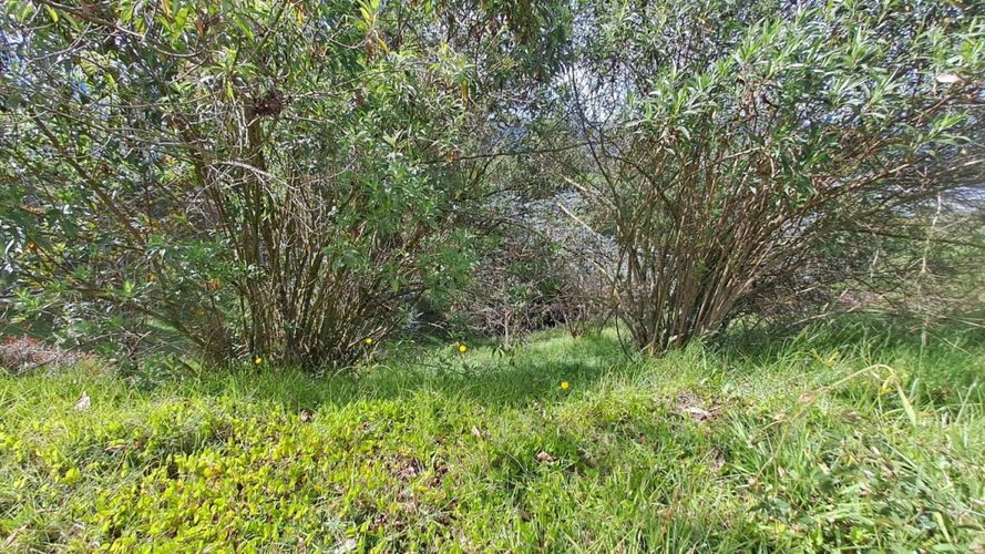 Lote en venta en El Tambo, La Ceja, 4370 m² · foto 14 de 17