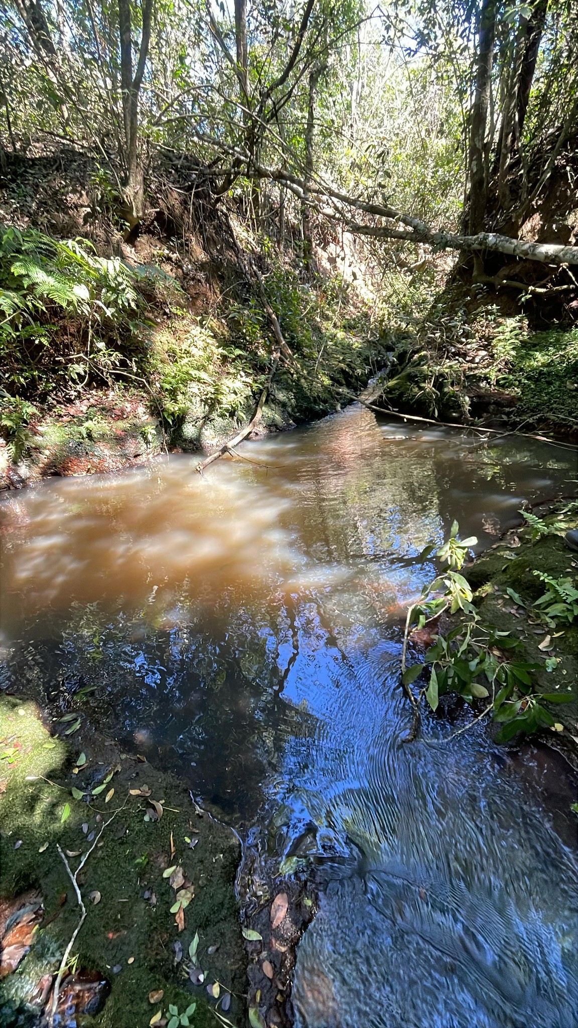 Vendo 7,7 hectáreas en San José de los Arroyos con arroyo y cascadita — foto 3