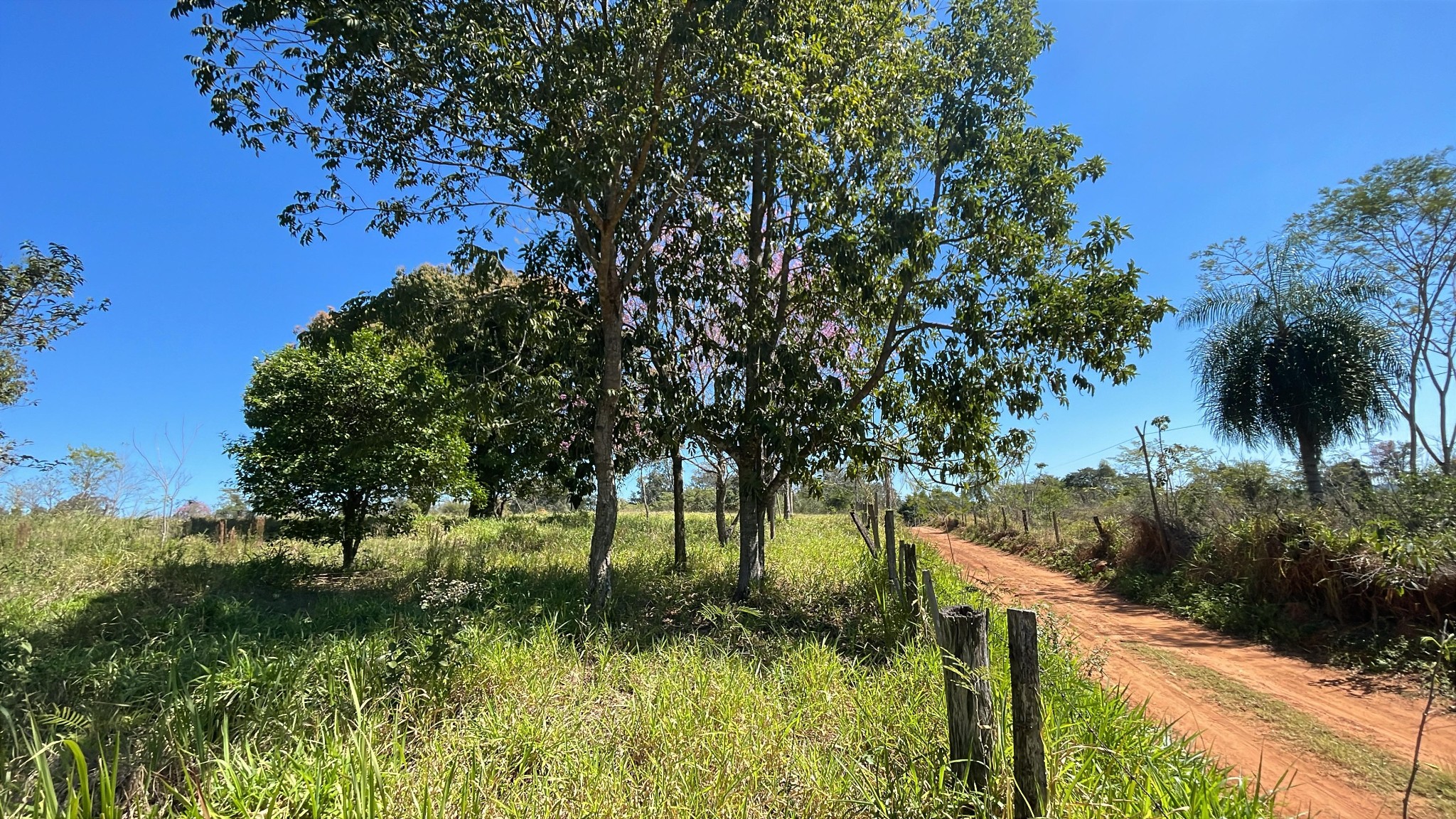 Vendo 7,7 hectáreas en San José de los Arroyos con arroyo y cascadita — foto 2