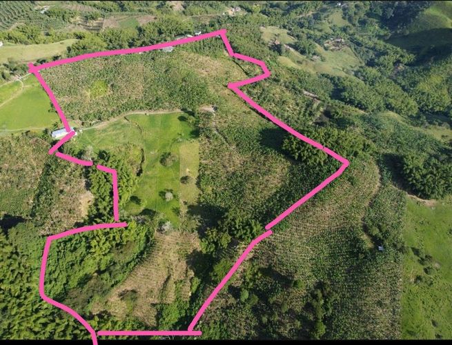 Finca en venta en Arabia, Pereira, 300 m² · foto 3 de 13