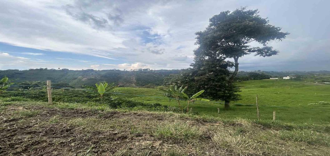 Finca en venta en Arabia, Pereira, 300 m² · foto 4 de 13
