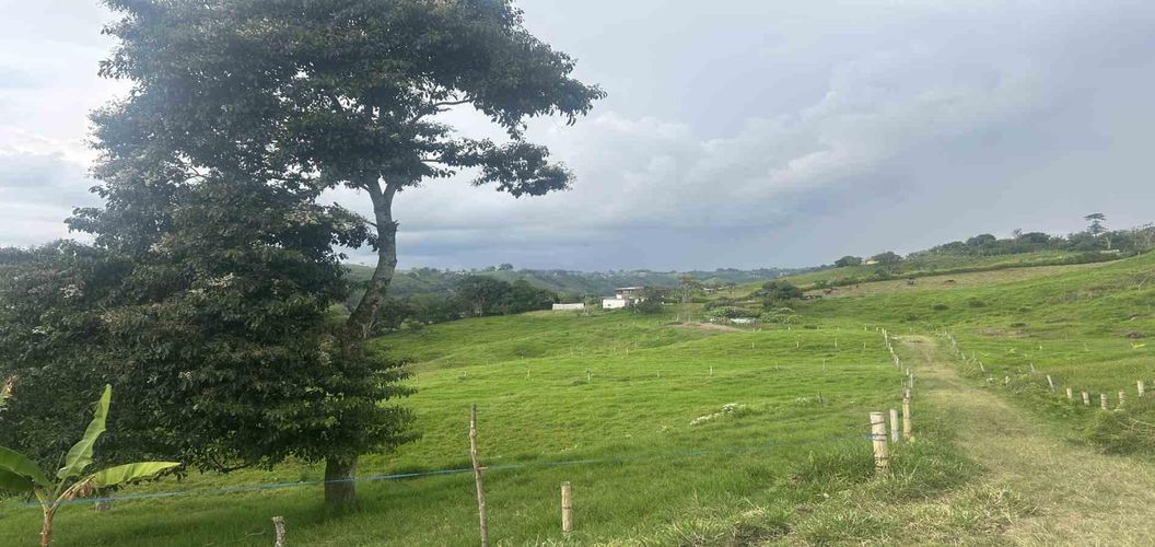 Finca en venta en Arabia, Pereira, 300 m² · foto 5 de 13