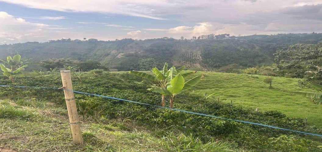 Finca en venta en Arabia, Pereira, 300 m² · foto 6 de 13