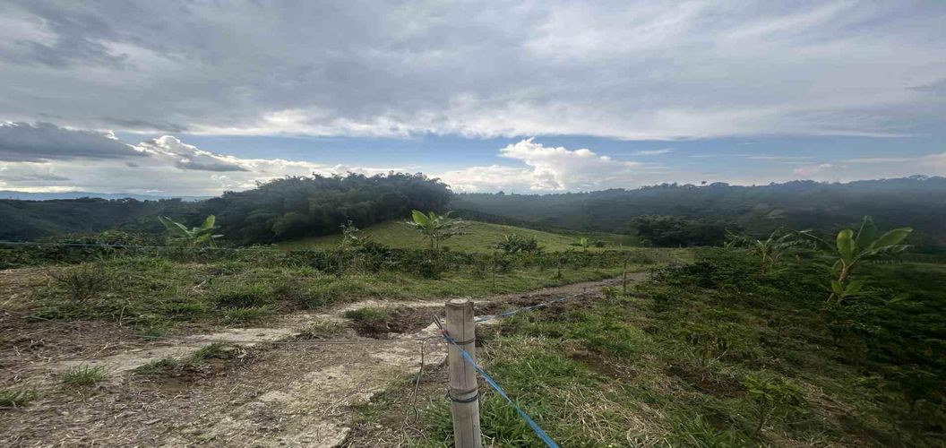 Finca en venta en Arabia, Pereira, 300 m² · foto 7 de 13