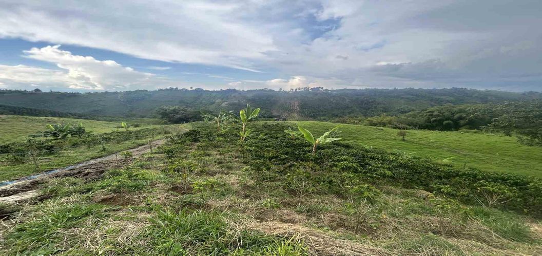 Finca en venta en Arabia, Pereira, 300 m² · foto 8 de 13