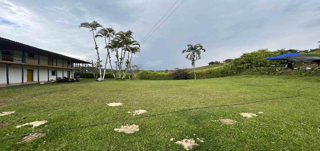 Finca en venta en Arabia, Pereira, 300 m² · foto 11 de 13