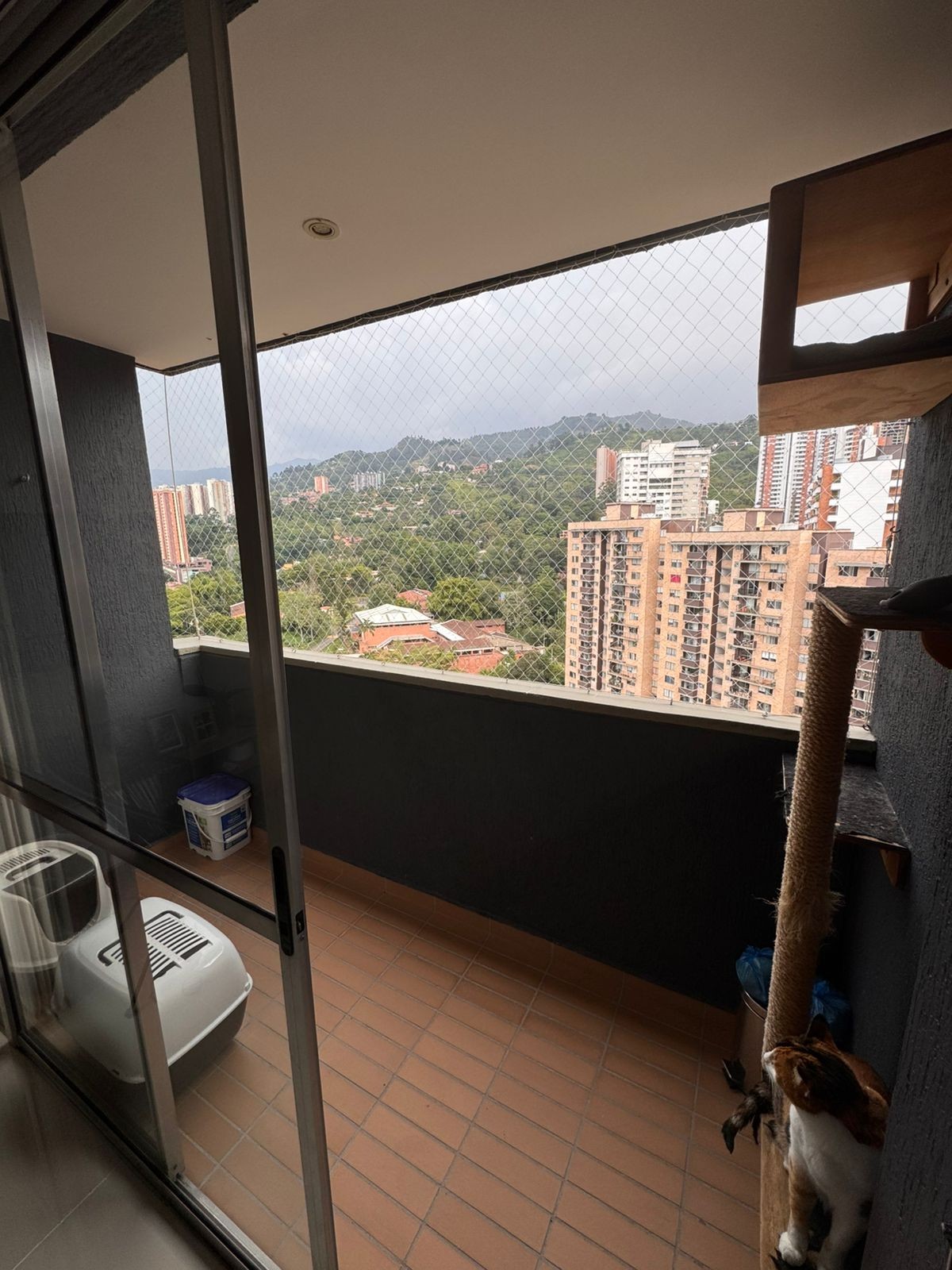 Apartamento en venta en El Carmelo Ii, Sabaneta · foto 15 de 24