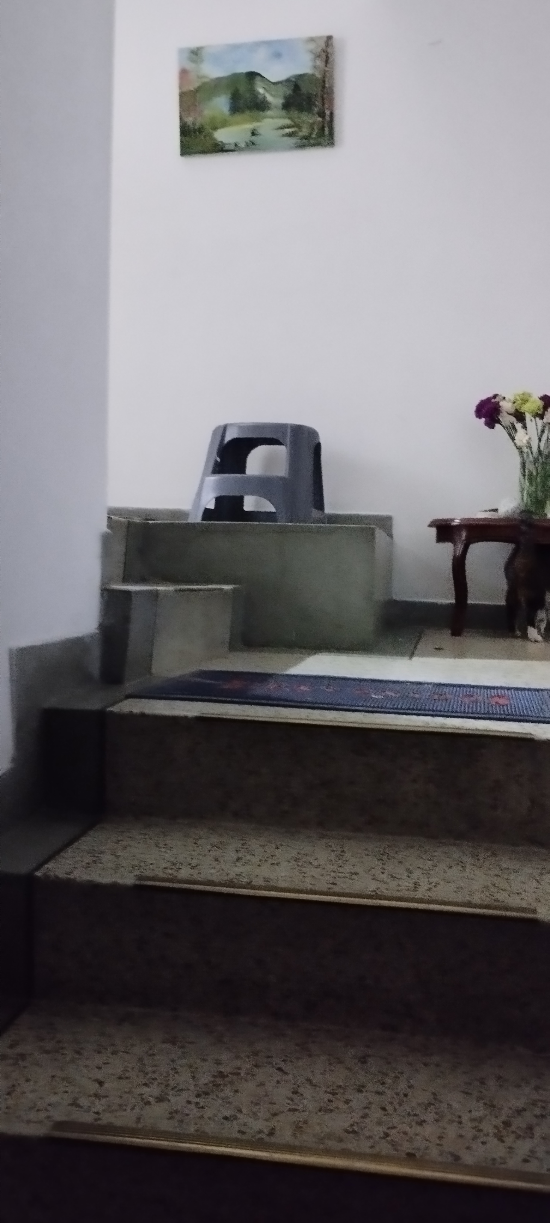 Casa en venta en Veraguas, Bogotá · foto 5 de 24