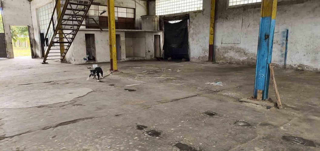 Bodega en arriendo en San Jose, Armenia, 2500 m² · foto 11 de 24