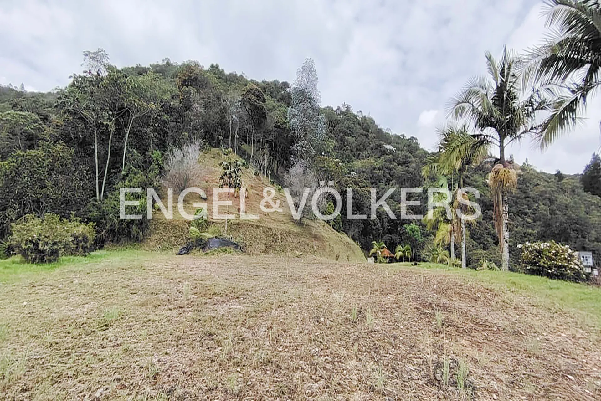 Land in Los salados for Sale - 4