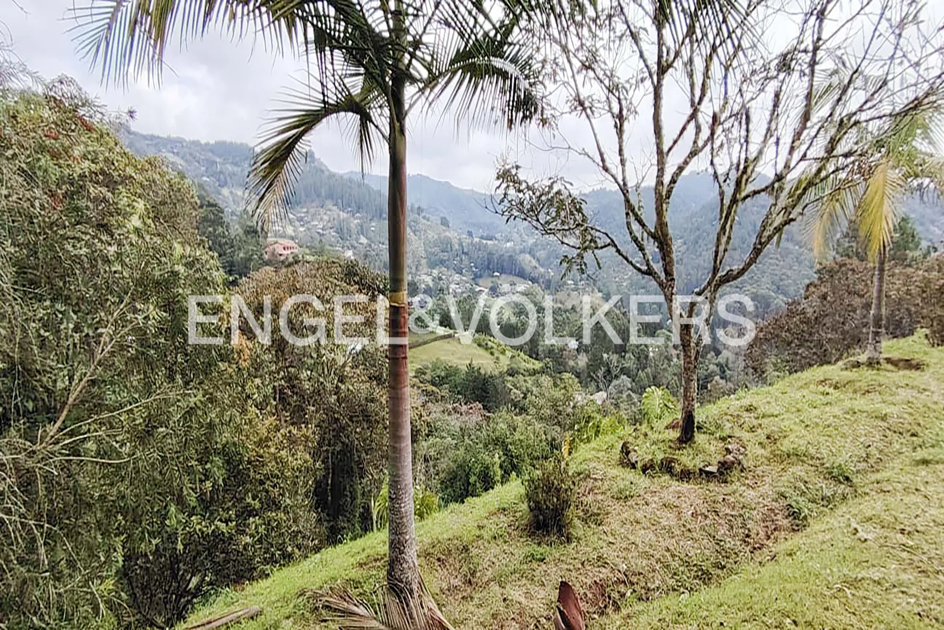 Land in Los salados for Sale - 2