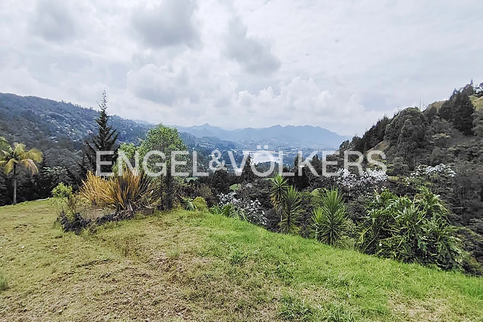 Land in Los salados for Sale