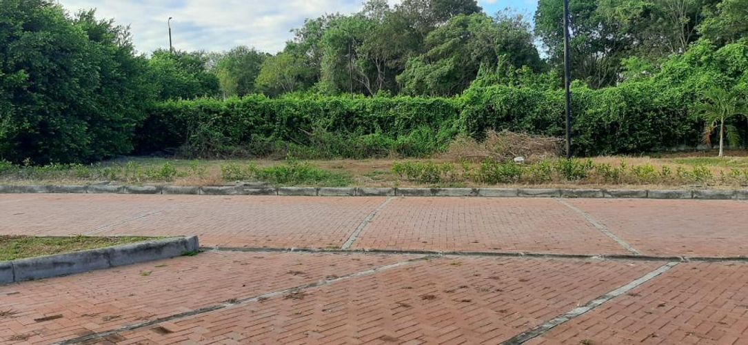 Lote en venta en Ricaurte, Ricaurte, 495 m² · foto 5 de 15