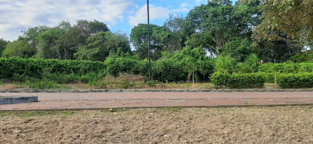 Lote en venta en Ricaurte, Ricaurte, 495 m² · foto 6 de 15