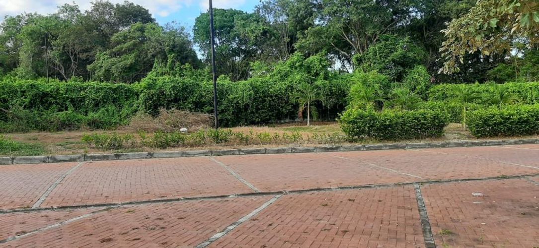 Lote en venta en Ricaurte, Ricaurte, 495 m² · foto 7 de 15