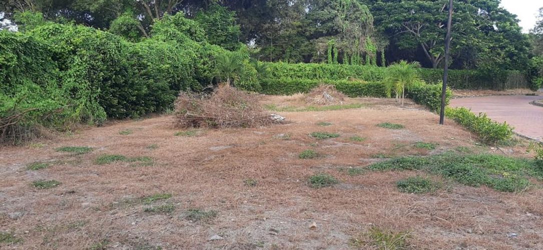 Lote en venta en Ricaurte, Ricaurte, 495 m² · foto 9 de 15