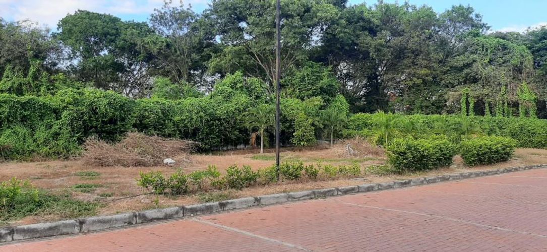 Lote en venta en Ricaurte, Ricaurte, 495 m² · foto 10 de 15